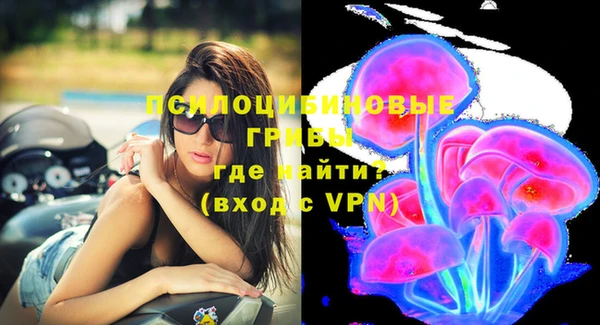 дурь Алексеевка