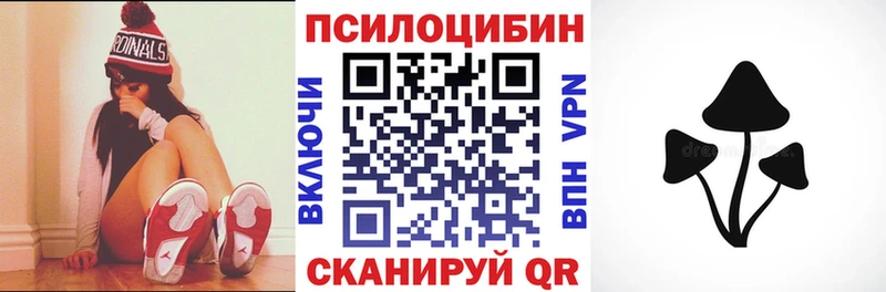 Галлюциногенные грибы Magic Shrooms  цена наркотик  Сясьстрой 