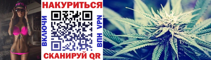 Канабис семена ссылка на мегу маркетплейс нарко площадка как зайти продажа наркотиков Сясьстрой